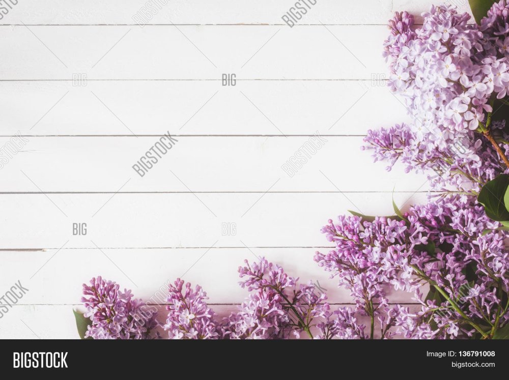 Фон для поста в Инстаграм сиреневый