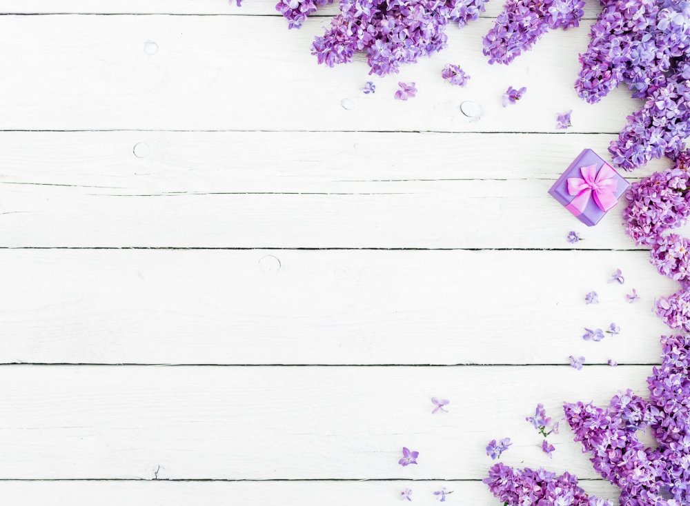 Фиолетовый фон с цветами