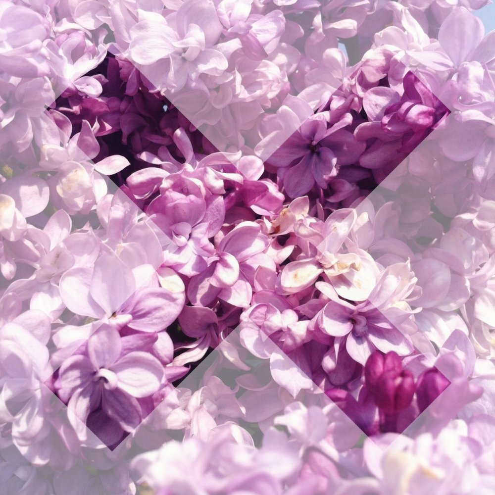 Фон в розово сиреневых тонах