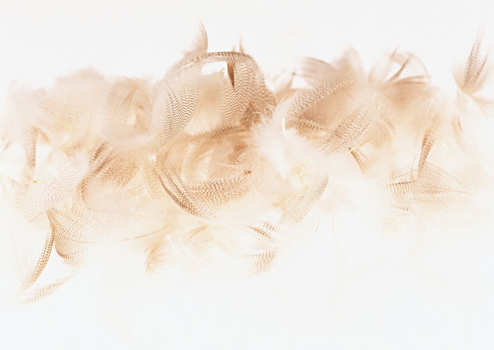 Фон в бежевых тонах