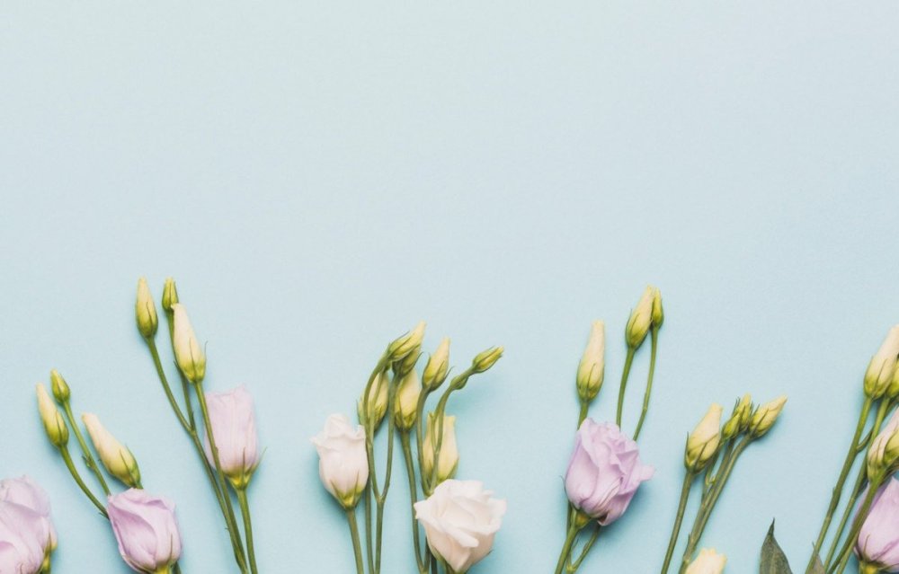 Цветочный фон Минимализм