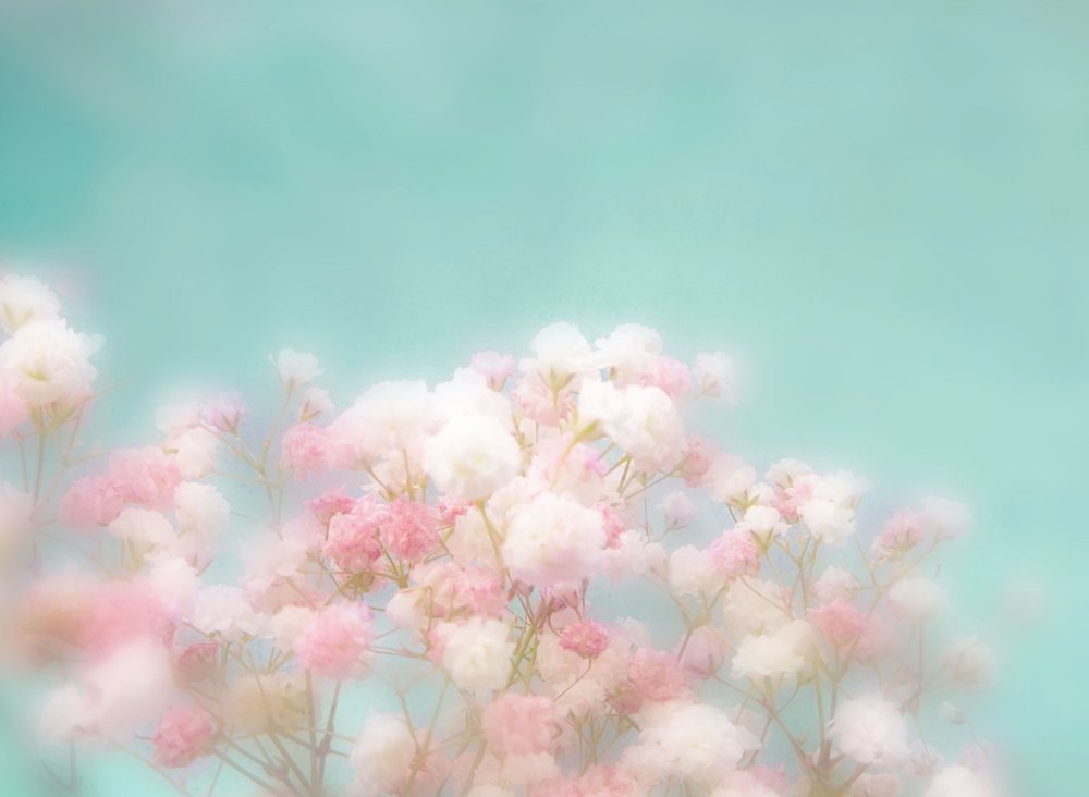 Красивый нежный фон