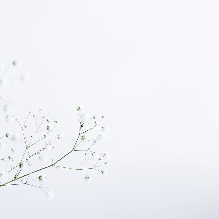 Ветка Минимализм