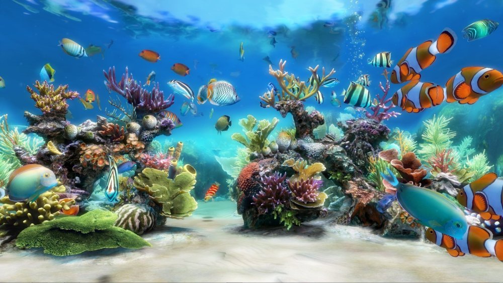 Рыба плавает