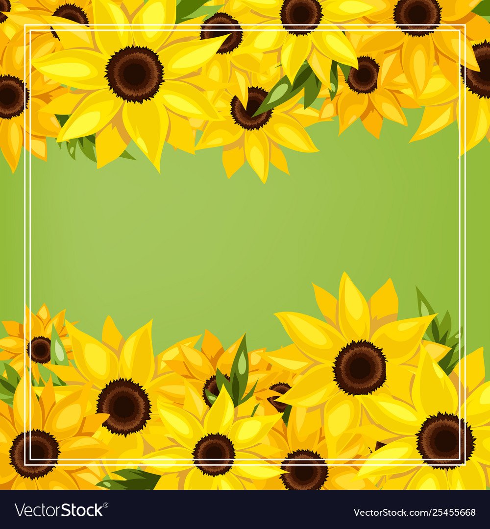 Фон подсолнухов дляghbukfcbntkmyjq