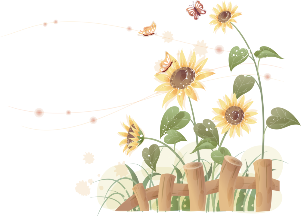 Фон для презентации Подсолнухи