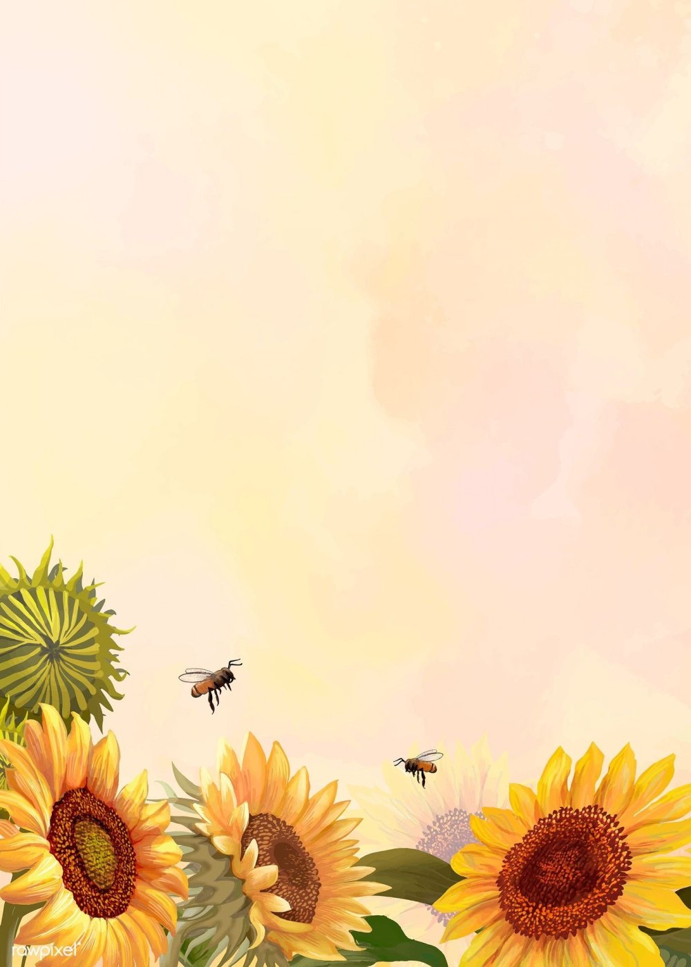 Фон Подсолнухи