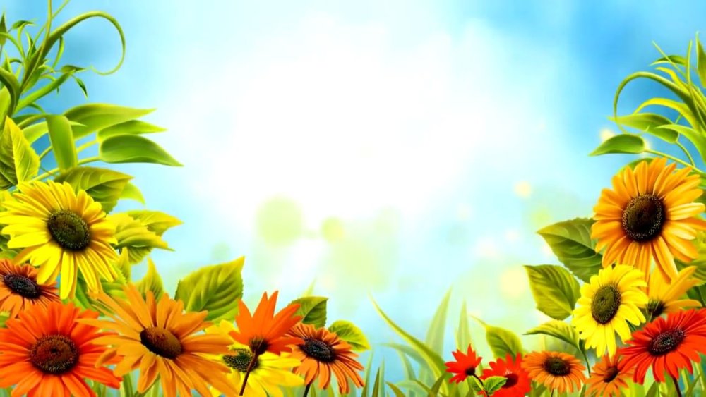 Фон Подсолнухи