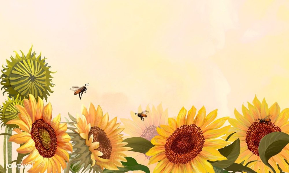 Подсолнухи фон вектор