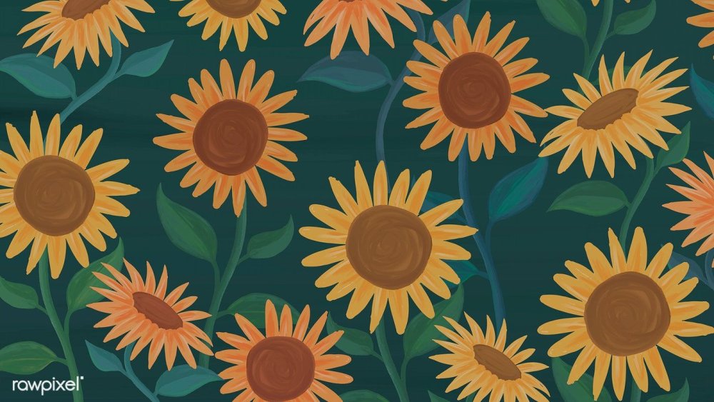Фон Подсолнухи рисунок