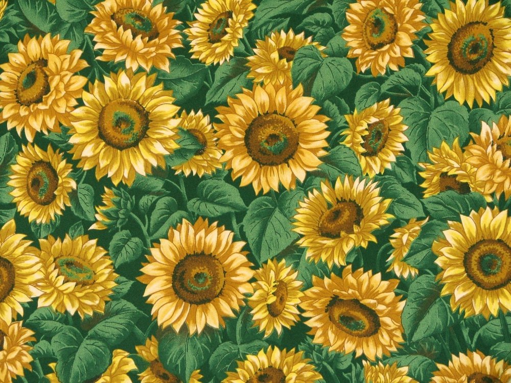 Подсолнухи паттерн