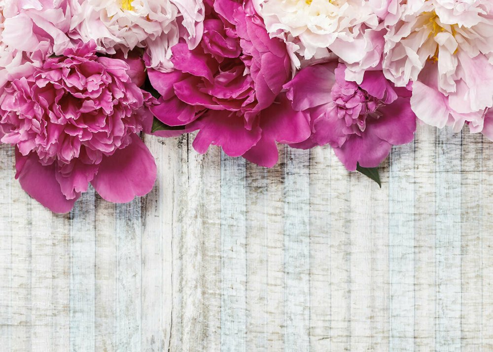 Пионы баннер