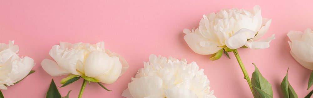 Белые цветы