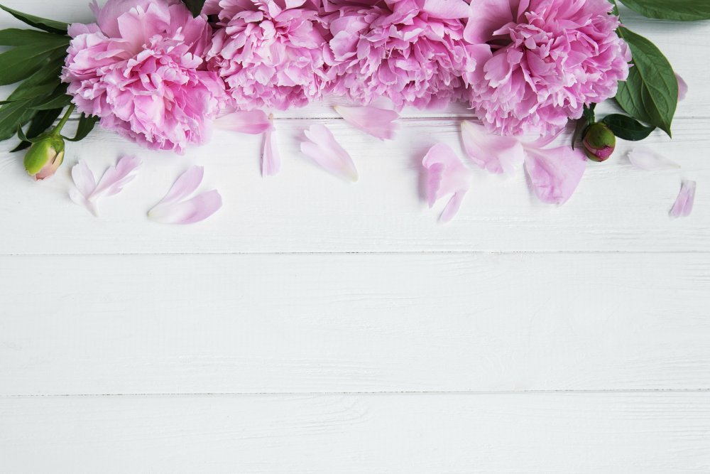 Нежный фотофон с цветами