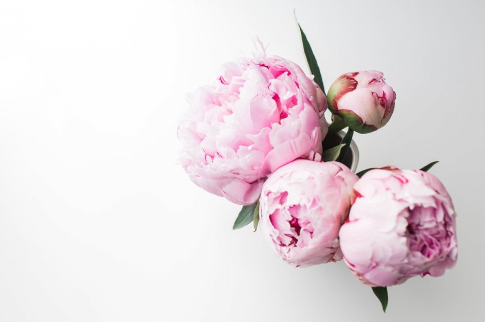 Букет с пионами