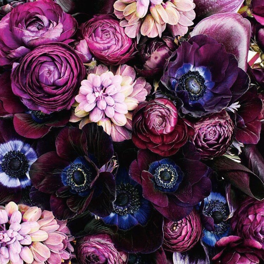 Пионы марсала