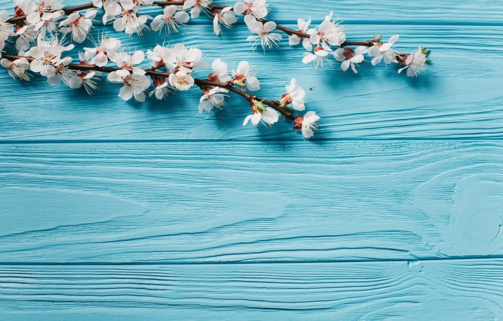 Фотофон голубой