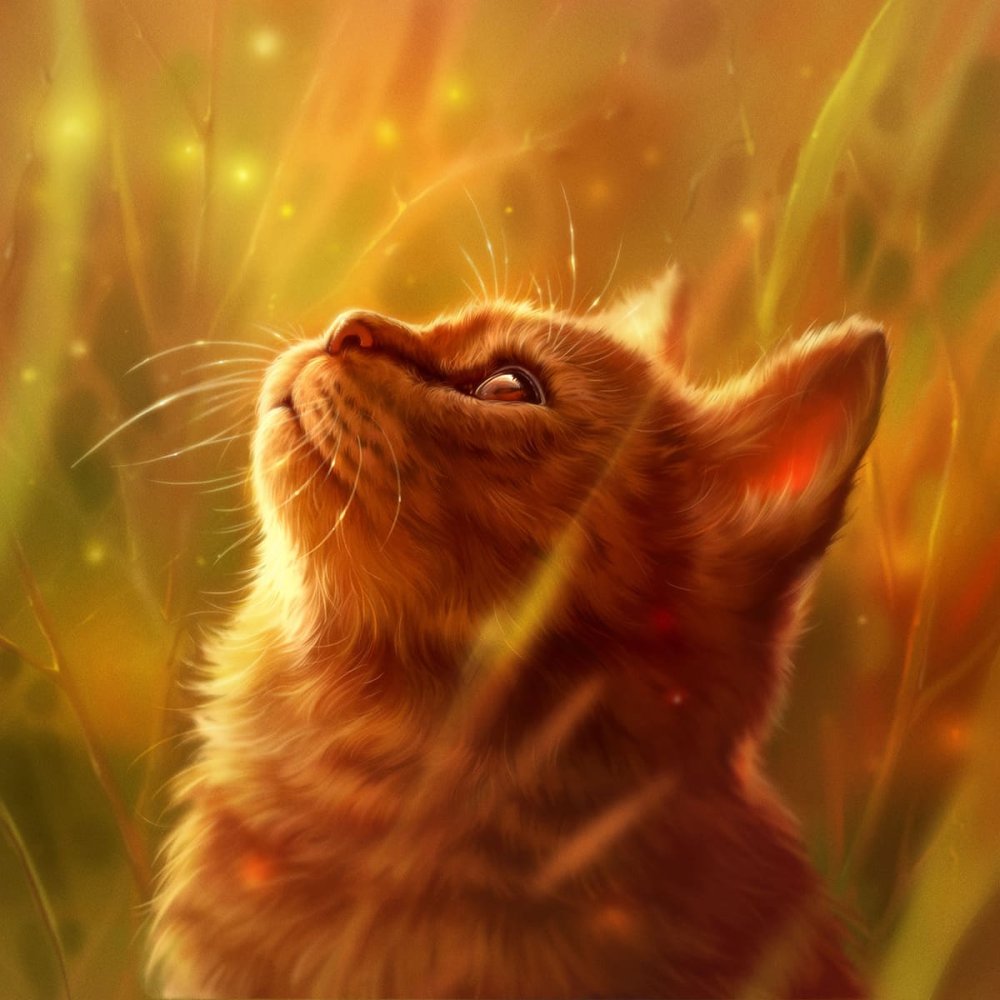 Рыжий котик арт