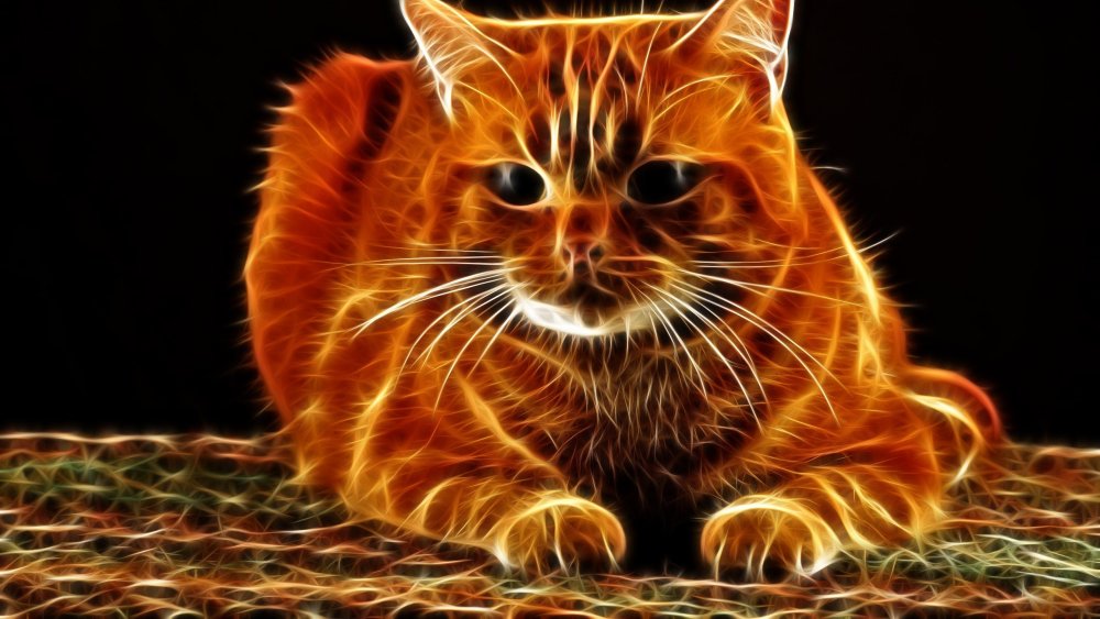 Огненная кошка