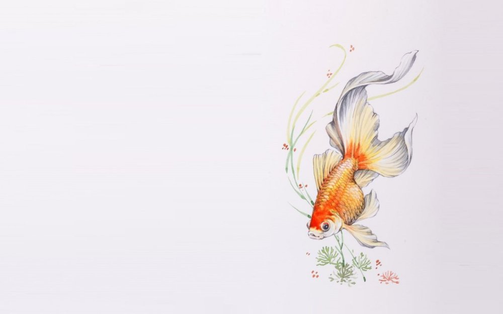 Рыба Минимализм