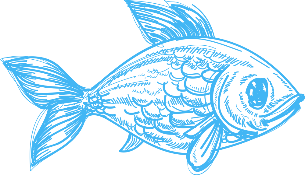 Рыбка на прозрачном фоне