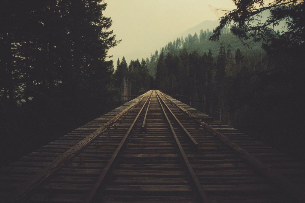 Железная дорога в лесу