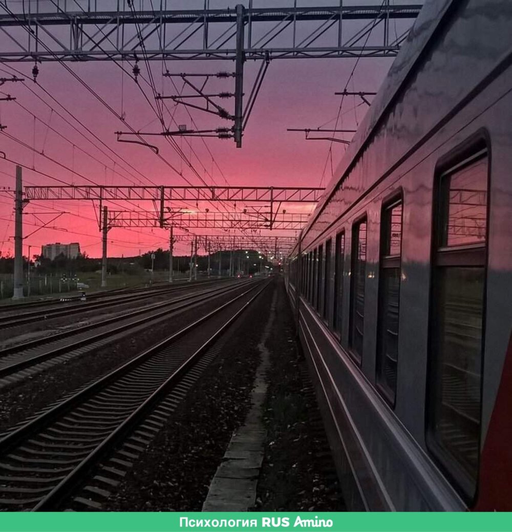 Красивые сохры Эстетика вид с поезда