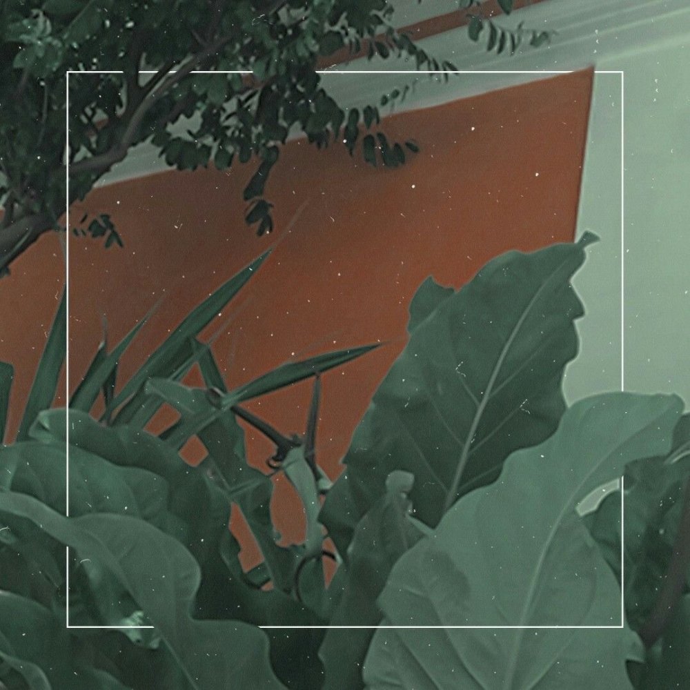 Эстетика в Болотном цвете