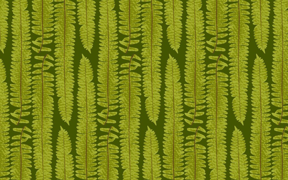 Обои папоротник Леруа