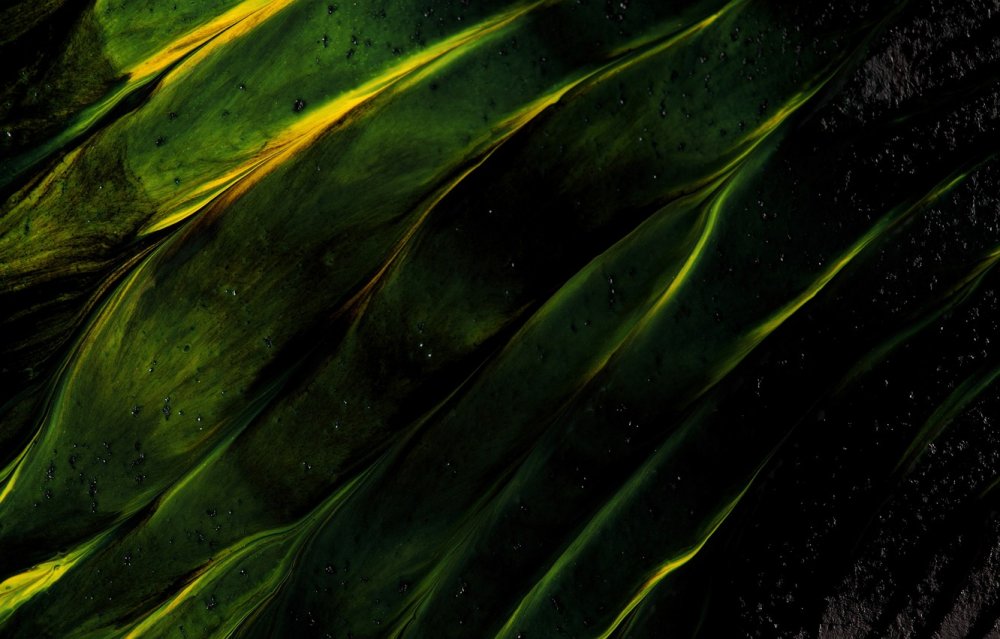 Темно зеленый цвет