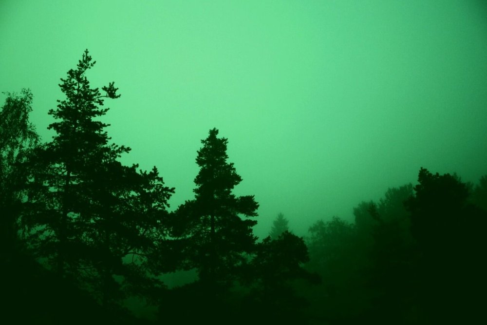 Эстетика зелёного цвета