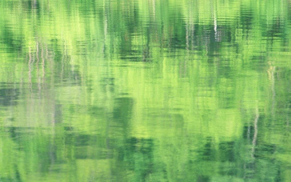 Болотный фон