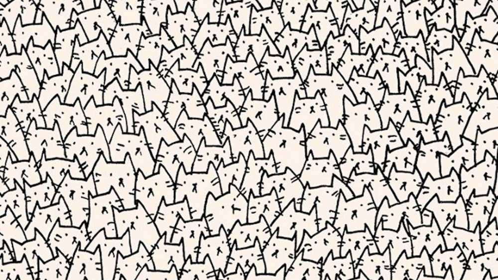 Много котиков фон