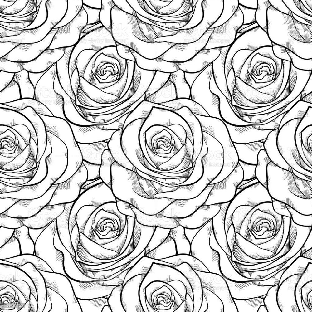 Раскраска антистресс розы
