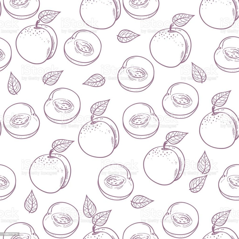 Распечатка персика черно белые