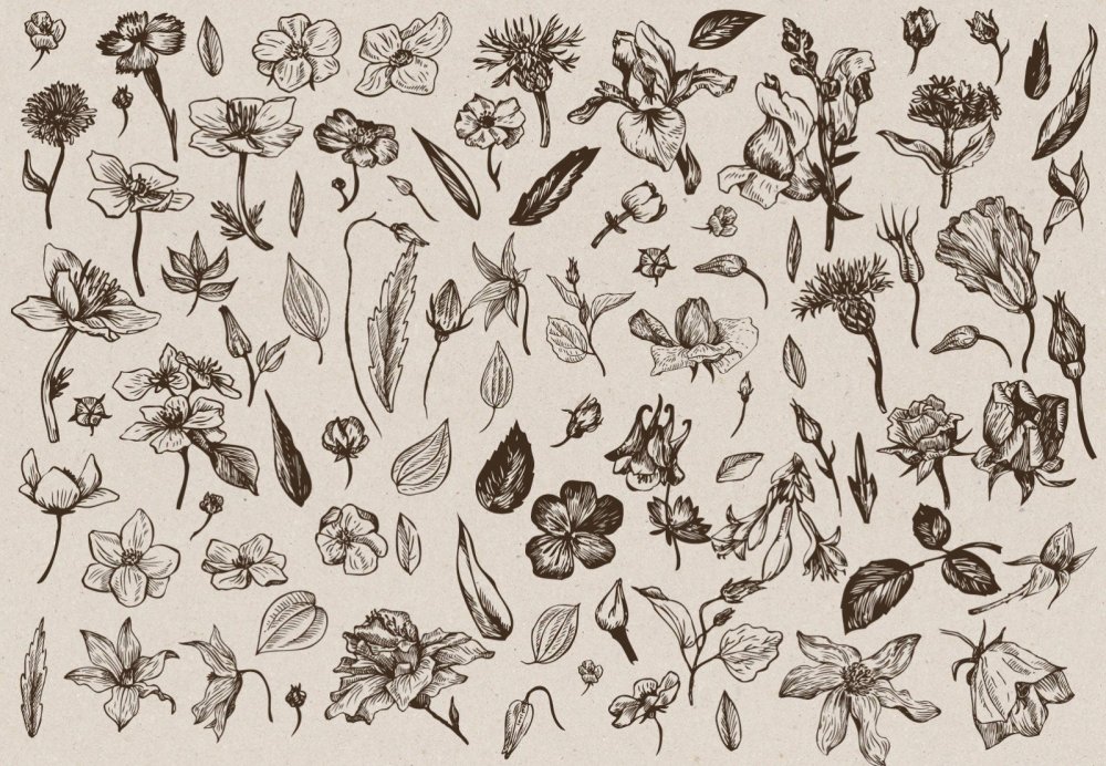 Растения для распечатки