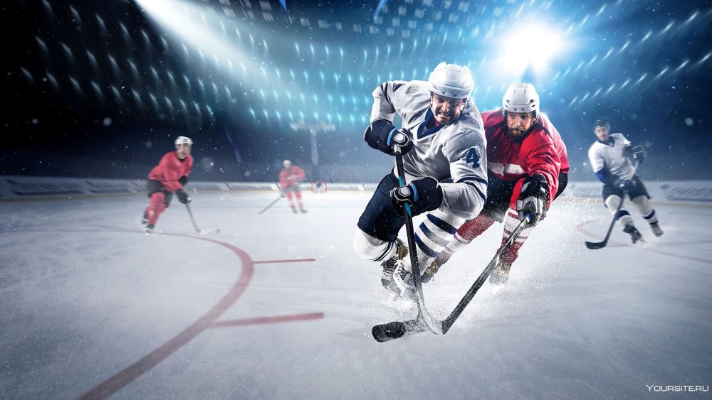Фотообои хоккей