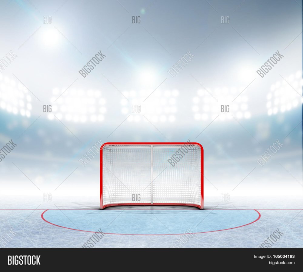 Шайба на льду