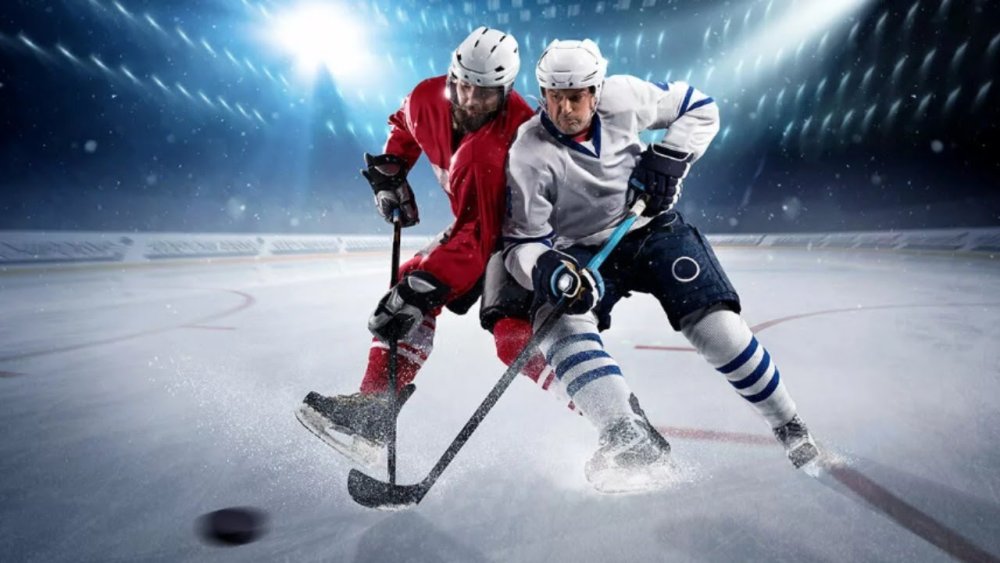 Хоккей ворота Арена