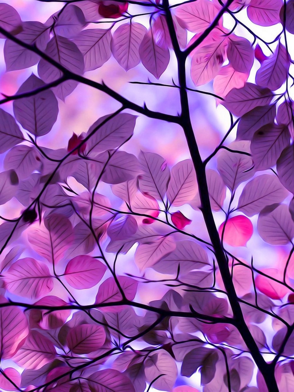 Стильные заставки на смартфон