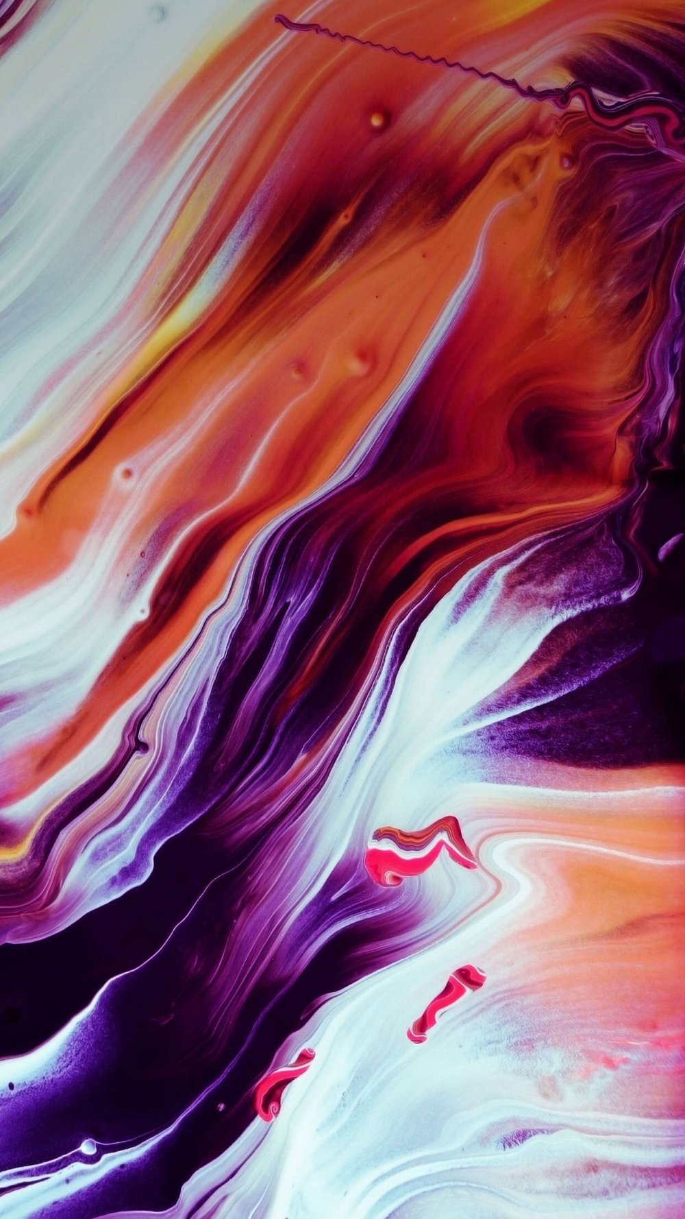 Фиолетовые листья пальмы