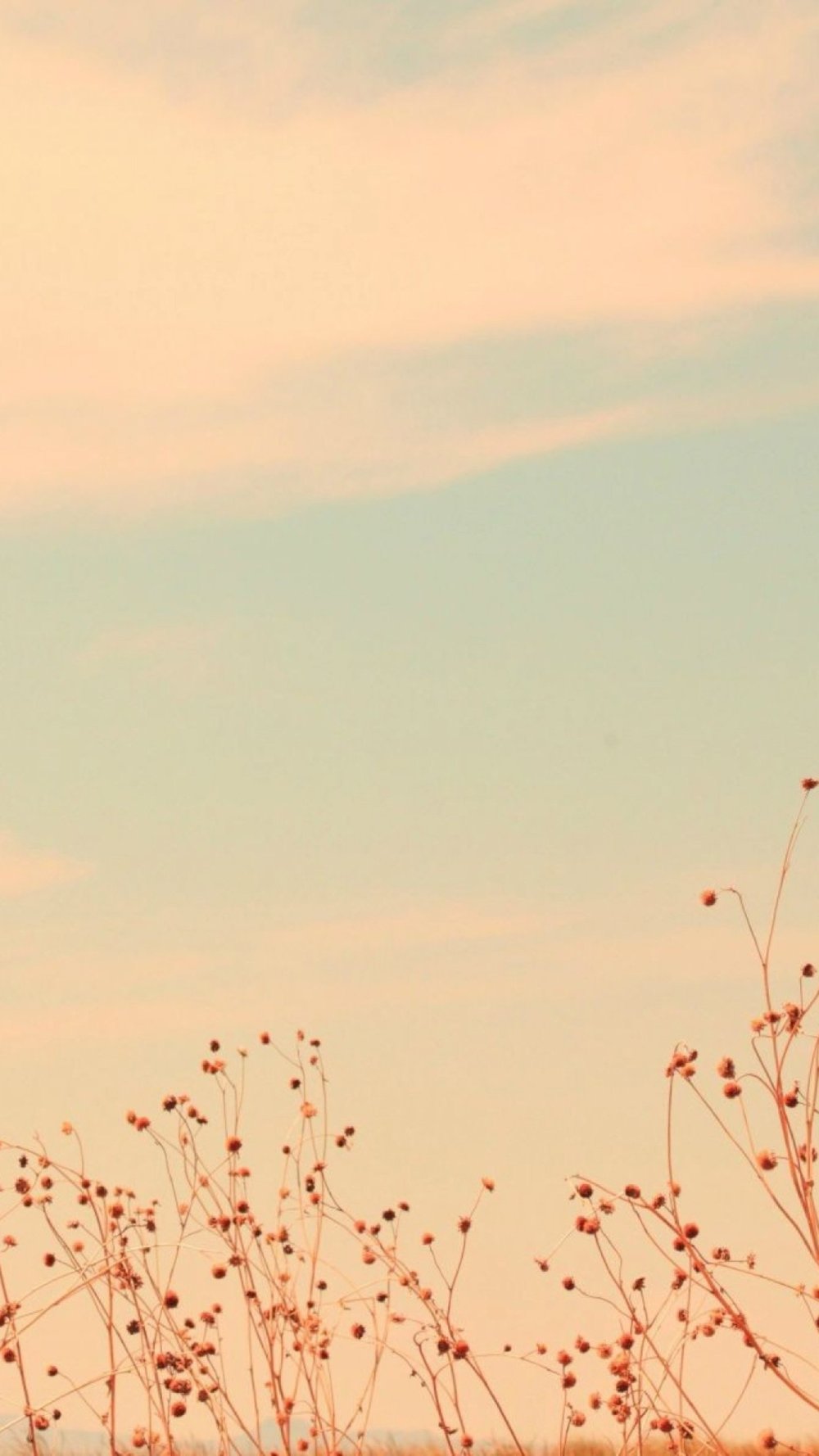 Синие обои на телефон