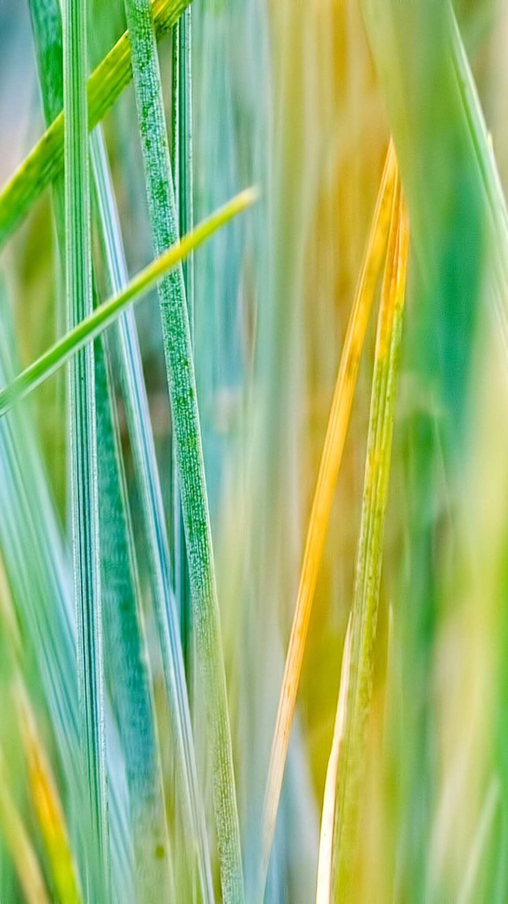 3д обои на рабочий стол