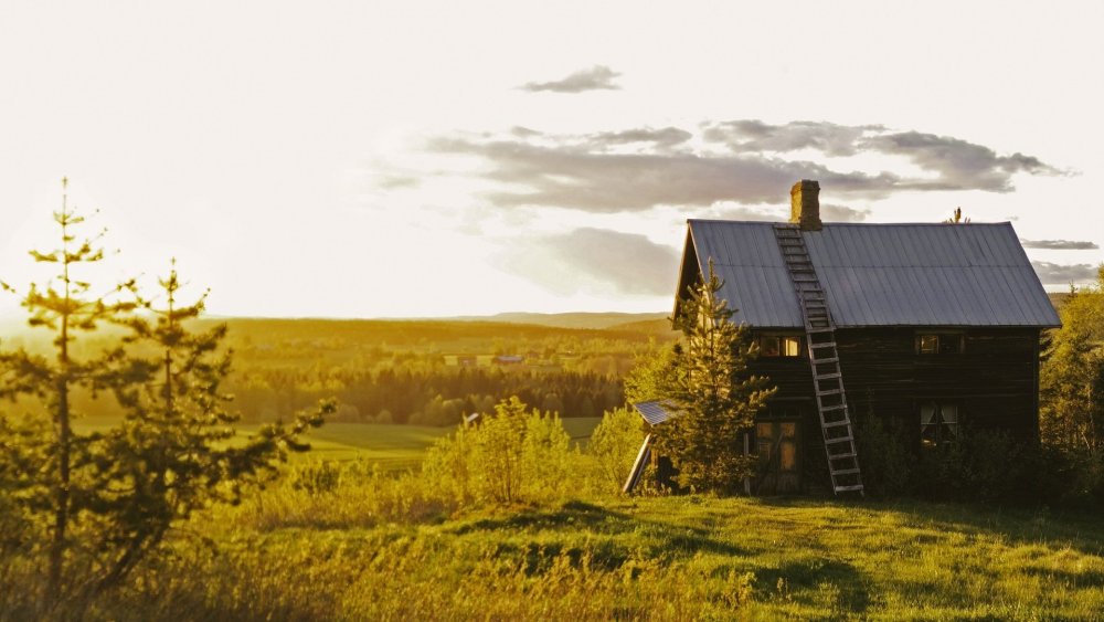 Фотофон деревенский домик