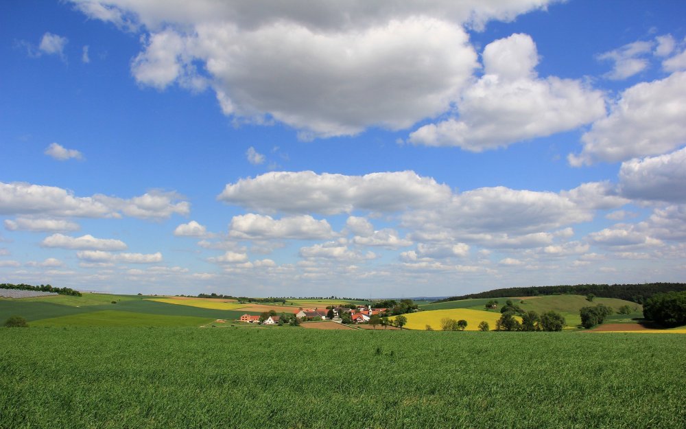 Деревенский пейзаж