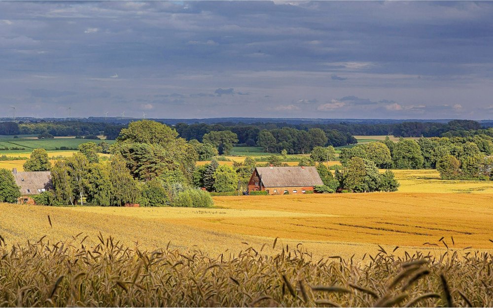 Поле деревня