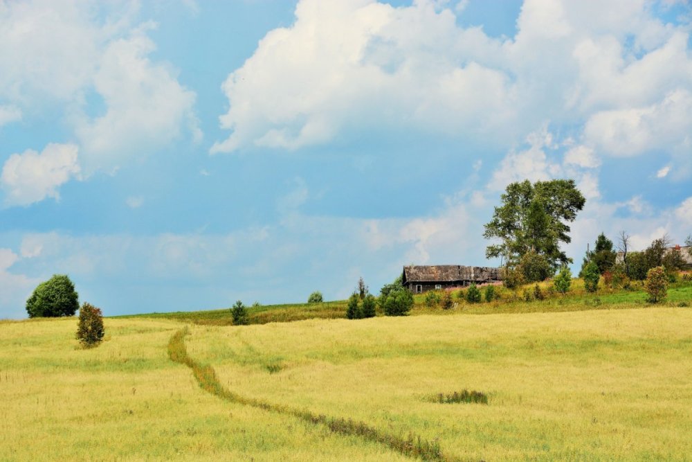 Фон деревня