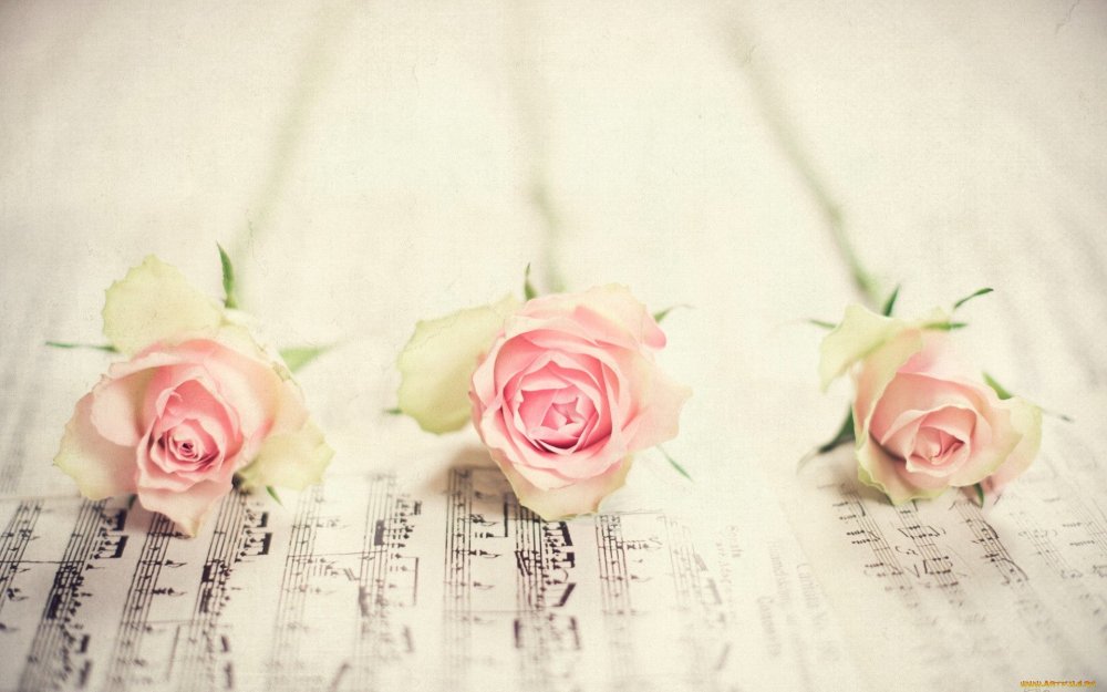 Музыкально цветочный фон