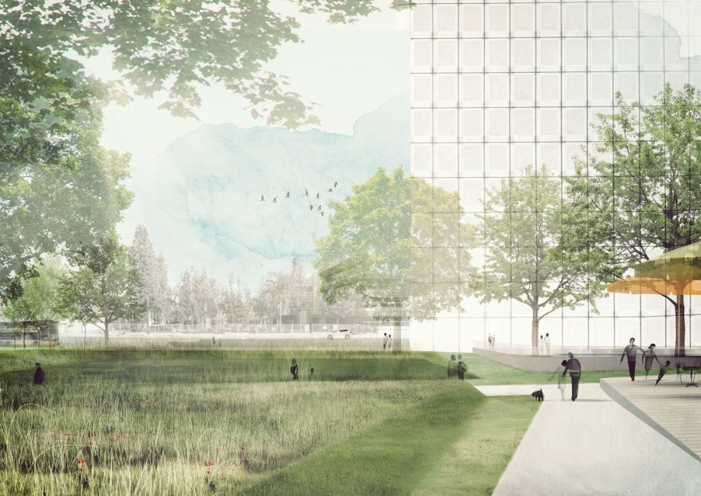 Фон для визуализации