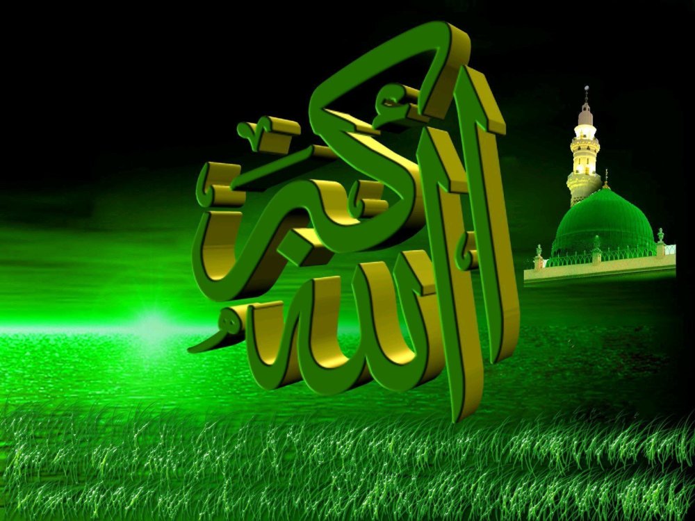 Зеленый фон с орнаментом